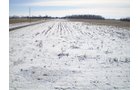 Property photo 24 - 76 Acres Offered in 4 Tracts